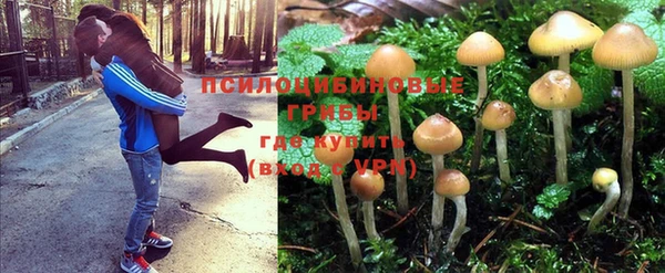 a pvp Алексеевка