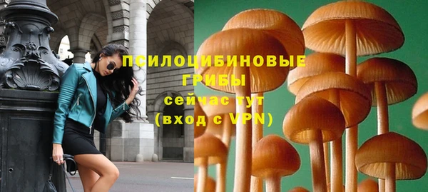 спайс Алзамай