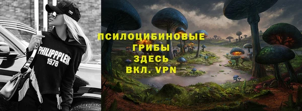 спайс Алзамай