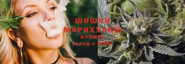 стаф Россошь